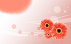 Flower Wallpapers new 16